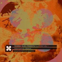 Submorphics – Blastoff (Kyle Hall Remix ft. Ian Fink)