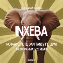 Dan Tanev, No Parachute – Inxeba