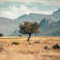 Stoto – Quo Vadis