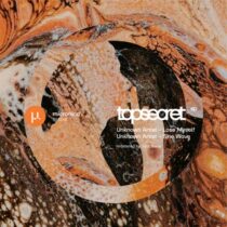 Micronica – Top Secret