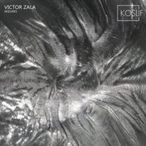 Victor Zala – Seizures