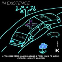 VA – In Existence, Vol. 5