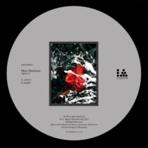 Mari Mattham – Artico