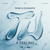 Eleganto, FENIK – A Feeling