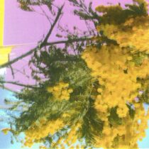 Four Tet – Into Dust (Still Falling) – Extended Mix